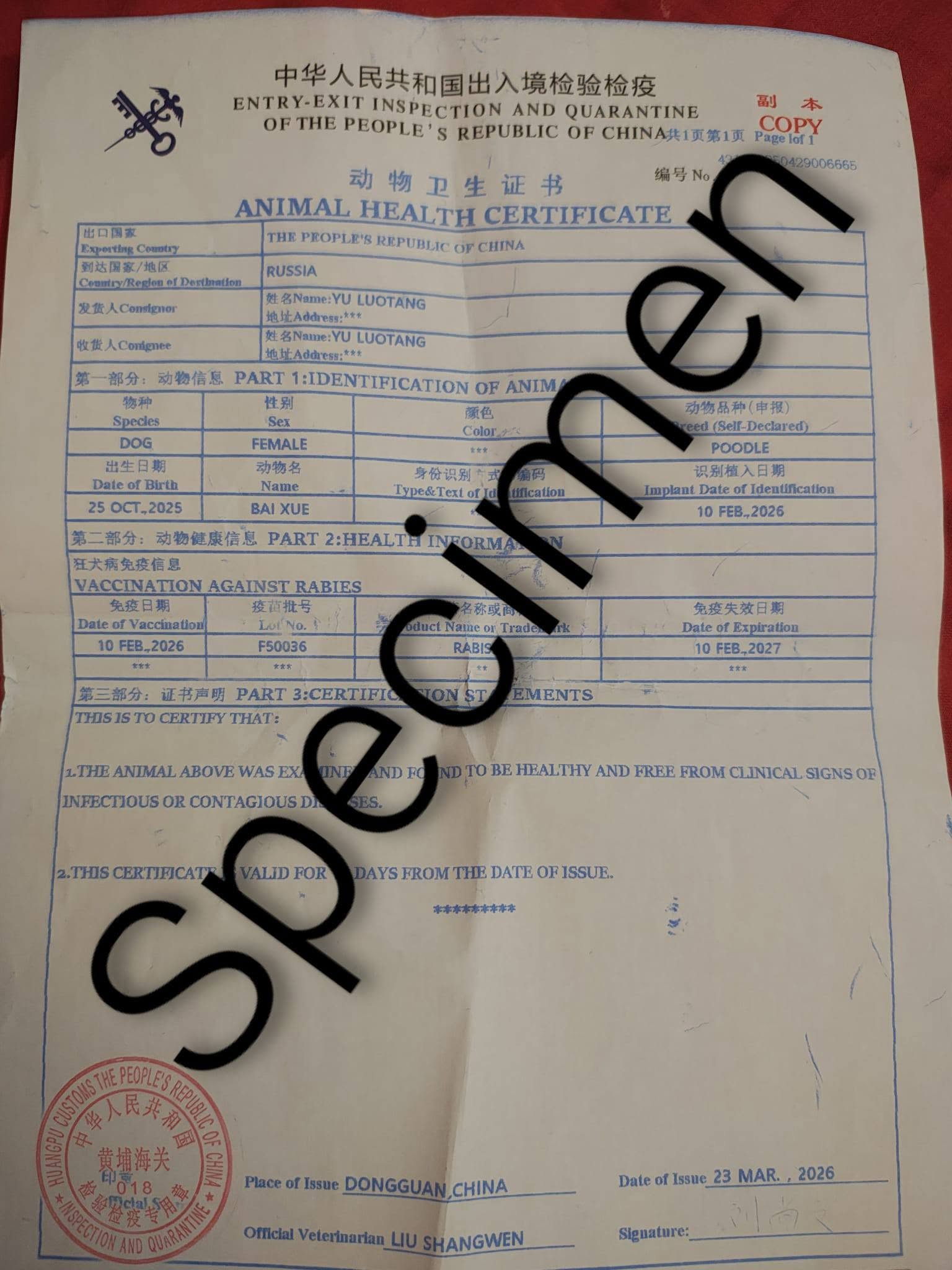 Pedigree Poodle Linie Asiatică Ateliercanis - document 4